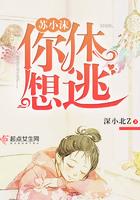 苏小沫免费阅读