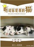 听说你是我的猫百度