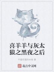 喜羊羊与灰太狼黑夜之后讲了什么!