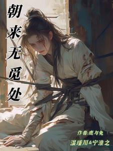 主人轻点罚十七还不够听话吗