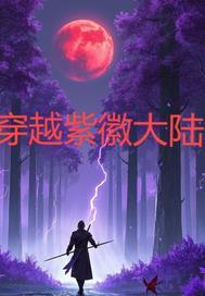 穿越紫徽大陆的