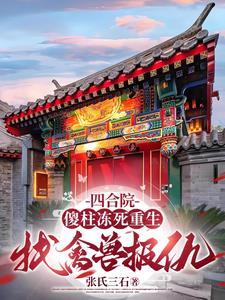 四合院之天道