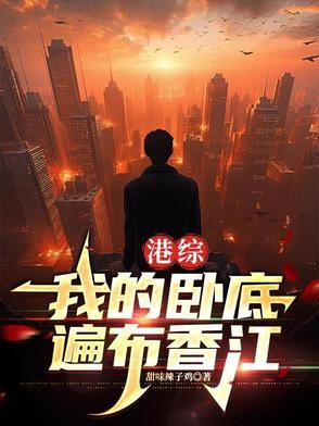 港片里的卧底系统