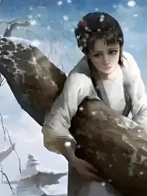 林黛玉号潇湘妃子