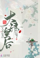 大清后宫嫔妃